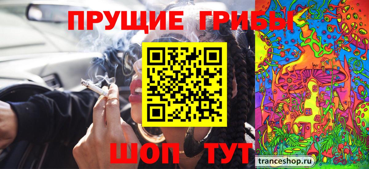 Галлюциногенные грибы MAGIC MUSHROOMS  Вход с VPN  Волгоград 
